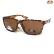 BB Sports Fashion Polarized Sunglasses BBP012