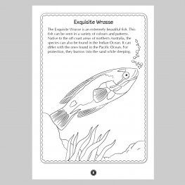 Australian FISHES Colour and Learn MM50692 Australian FISHES Colour and Learn MM50692