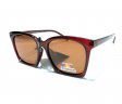 The Noosa Collection Fashion Plastic Polarized Sunglasse PPF5323