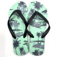 MM16 Mens Beach Thongs 4 Style Mixed