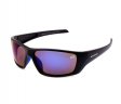 Swisssport Sunglasses - Gold Tag SW284